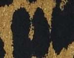 781 gold cat